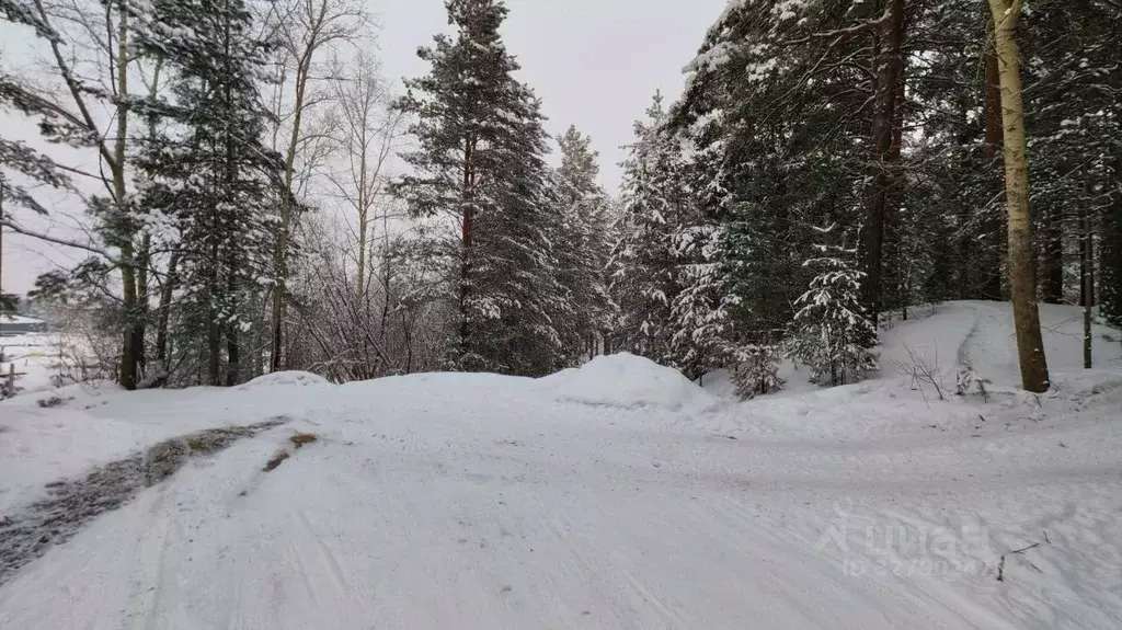 Гараж в Алтайский край, Бийск Дачная ул., 52с2 (100 м) - Фото 2