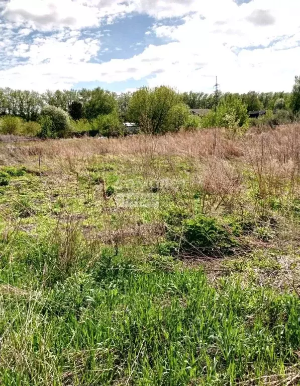 Участок в Новосибирская область, Новосибирск Комсомольский пер. (11.0 ... - Фото 0