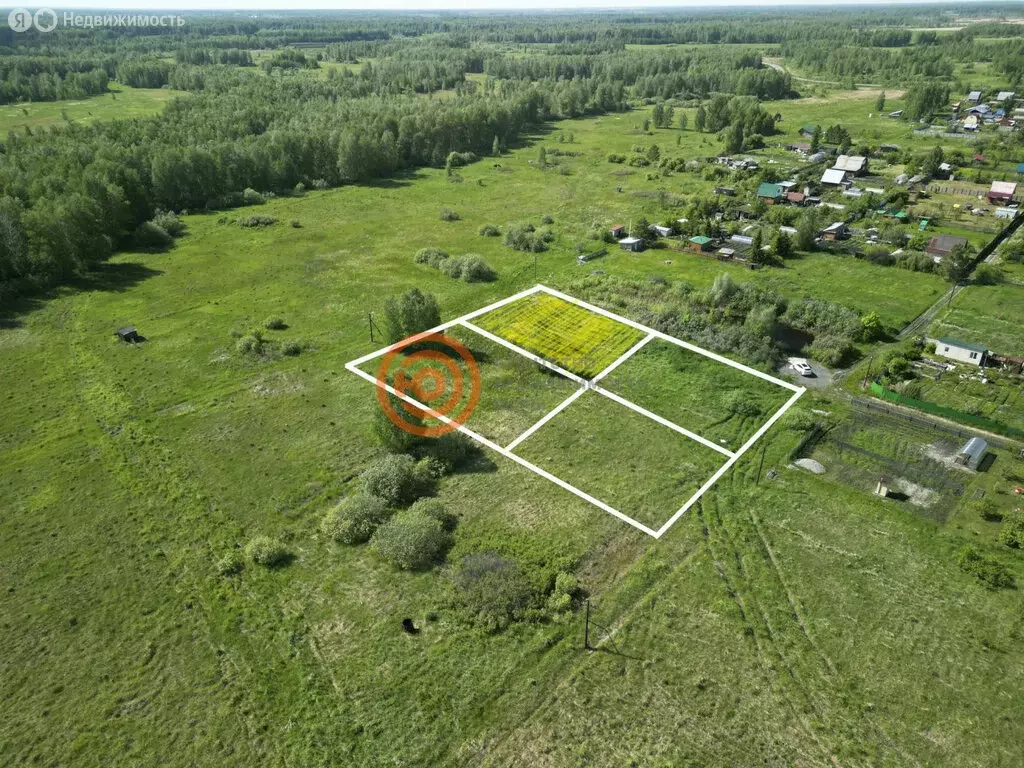 Участок в Тюменская область, Ялуторовский муниципальный округ, садовое ... - Фото 1