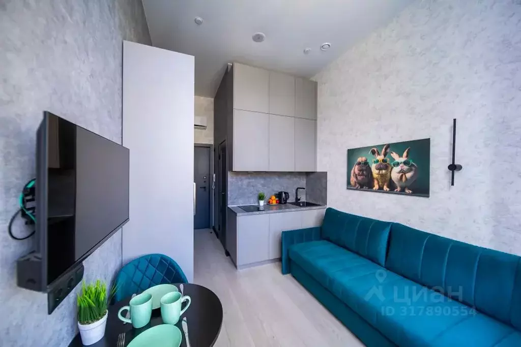 Студия Санкт-Петербург Сердобольская ул., 7 (17.0 м) - Фото 0