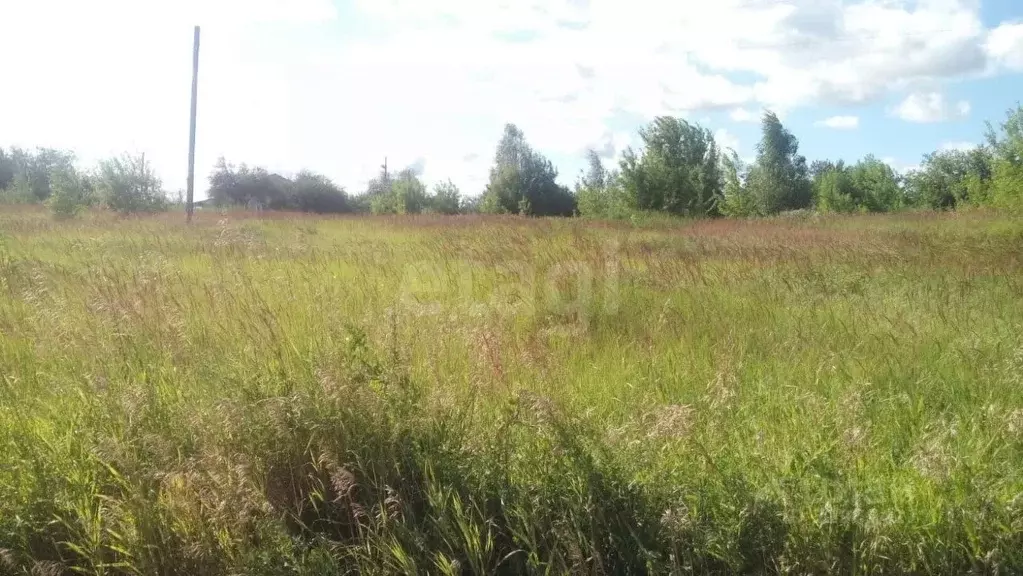 Участок в Брянская область, Трубчевск пер. 2-й Овражный (10.5 сот.) - Фото 0