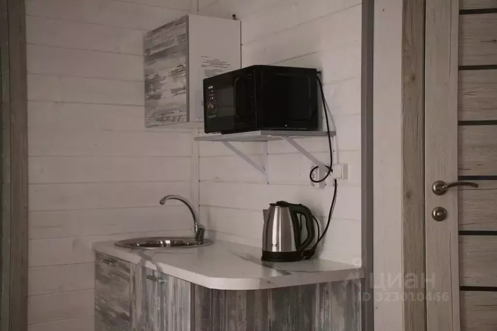 Дом в Воронежская область, с. Новая Усмань  (17 м) - Фото 2