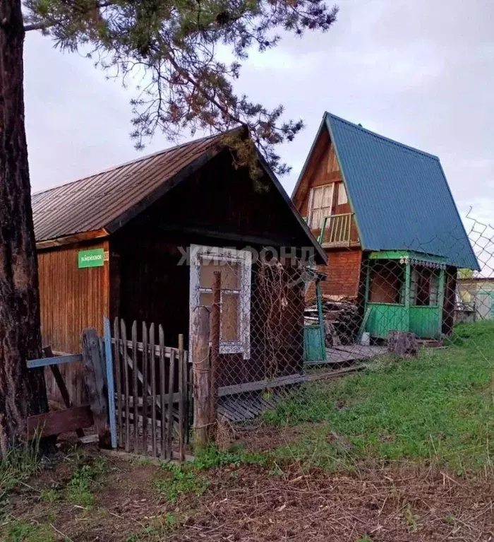 Дом в Новосибирская область, Тогучинский район, Березка садовое ... - Фото 0