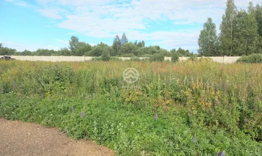 Участок в Московская область, Клин городской округ, Причал кп  (12.0 ... - Фото 0