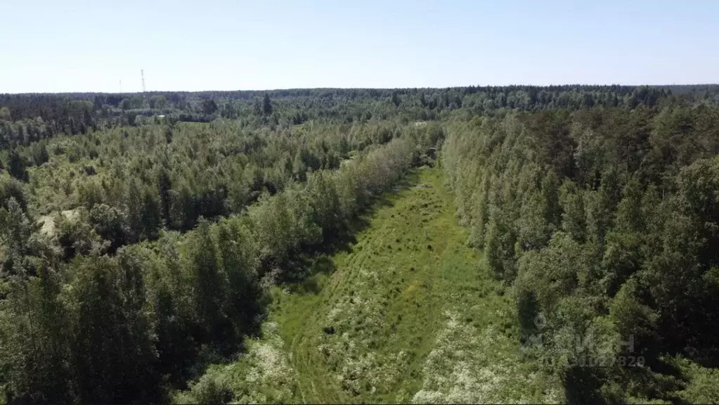 Участок в Ленинградская область, Выборгский район, Красносельское ... - Фото 2