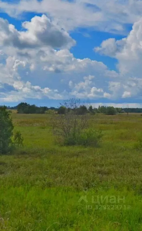 Участок в Московская область, Клин городской округ, д. Полуханово ул. ... - Фото 2