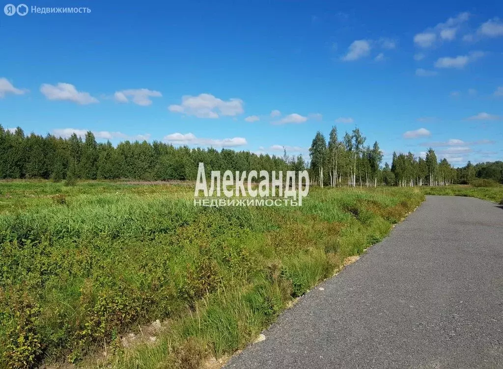 Участок в Куйвозовское сельское поселение, КП Грузино сити (7 м) - Фото 2