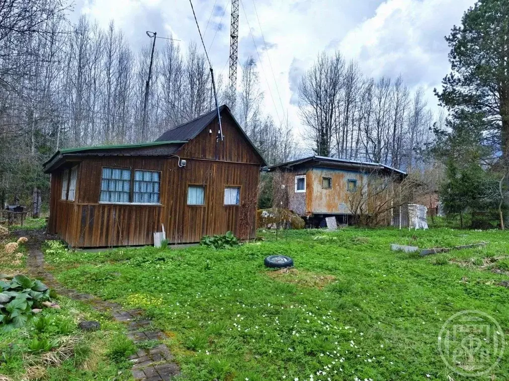 Дом в Ленинградская область, Гатчинский район, Новинка садоводческий ... - Фото 1