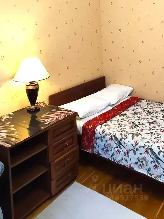 Комната Санкт-Петербург Пушкинская ул., 10 - Фото 1