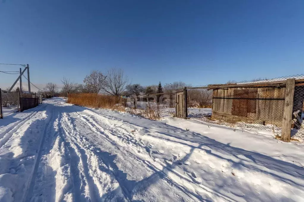 Участок в Хабаровский край, Хабаровский район, Черемушки СНТ  (7.4 ... - Фото 2