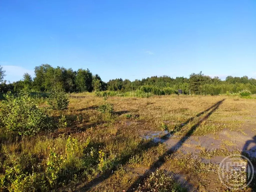Участок в Ленинградская область, Всеволожский район, Лесколовское ... - Фото 1