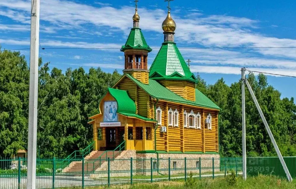 Участок в Омская область, Омский район муниципальный округ, д. ... - Фото 2