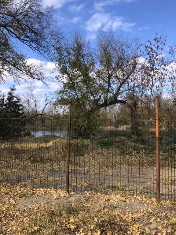 Участок в Оренбургская область, Оренбург ПО Мир СНТ, Троллейбусник ... - Фото 1