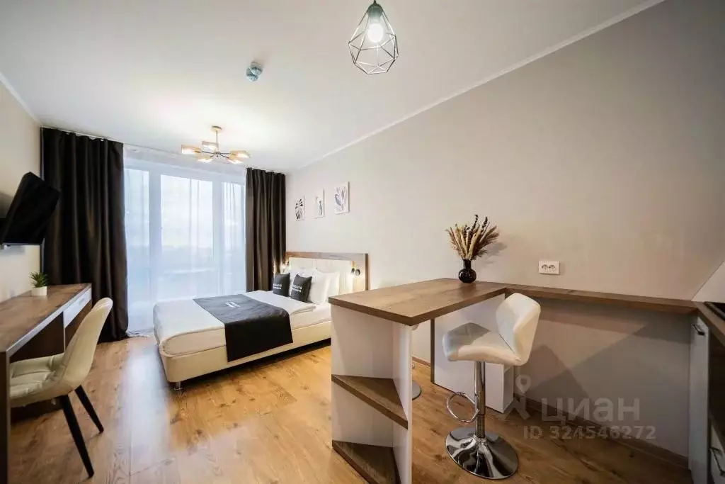 1-к кв. Санкт-Петербург пос. Парголово, проезд Толубеевский, 8к2 (26.0 ... - Фото 1