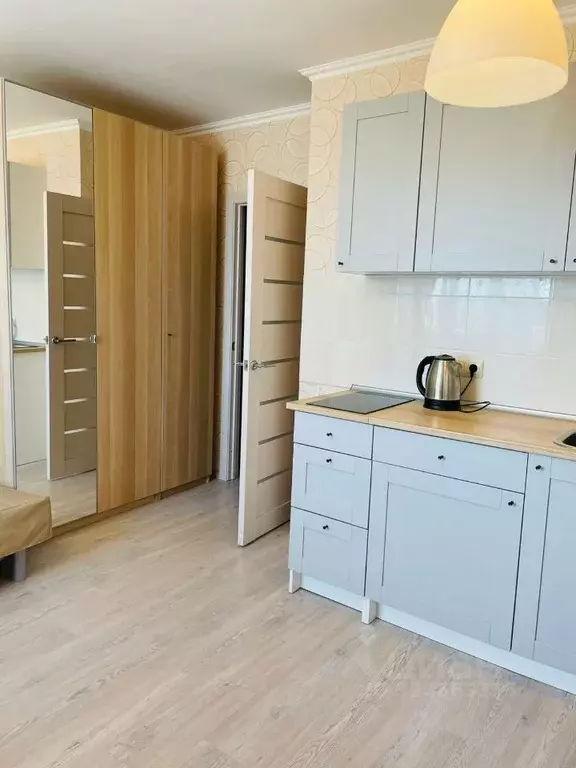 Студия Санкт-Петербург пос. Парголово, проезд Толубеевский, 24 (25.0 ... - Фото 2