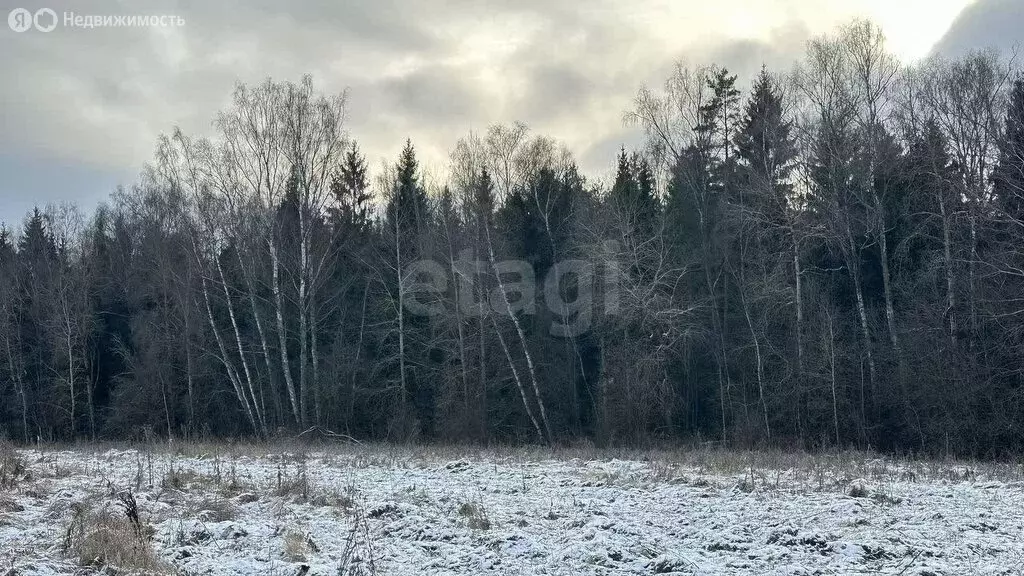 Участок в Московская область, городской округ Истра, деревня ... - Фото 1