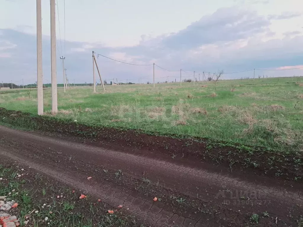 Участок в Саратовская область, Балашовский район, Хоперское ... - Фото 1