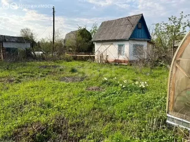 Участок в Барышевский сельсовет, садоводческое некоммерческое ... - Фото 2