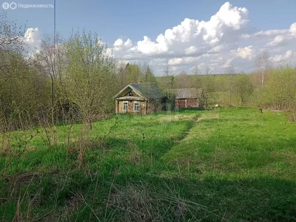 Дом в деревня Борки, Центральная улица (23.1 м) - Фото 1