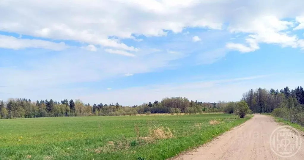 Участок в Ленинградская область, Выборгский район, Красносельское ... - Фото 1