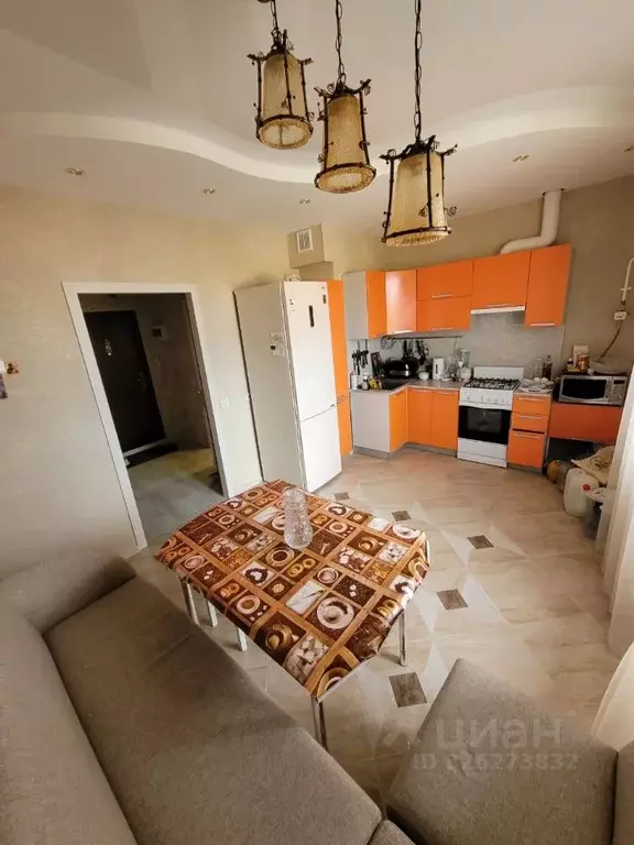 1-к кв. Псковская область, Псковский район, Завеличенская волость, д. ... - Фото 2