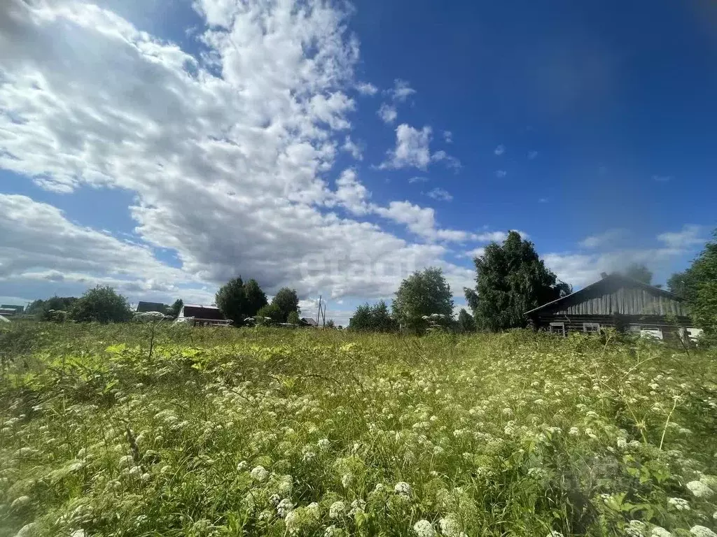 Участок в Коми, Сыктывдинский район, Палевицы муниципальное ... - Фото 0
