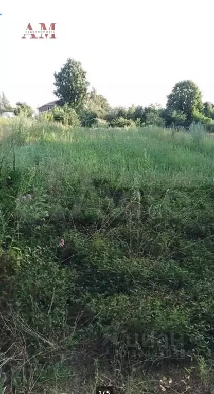 Участок в Владимирская область, Суздальский район, Новоалександровское ... - Фото 1