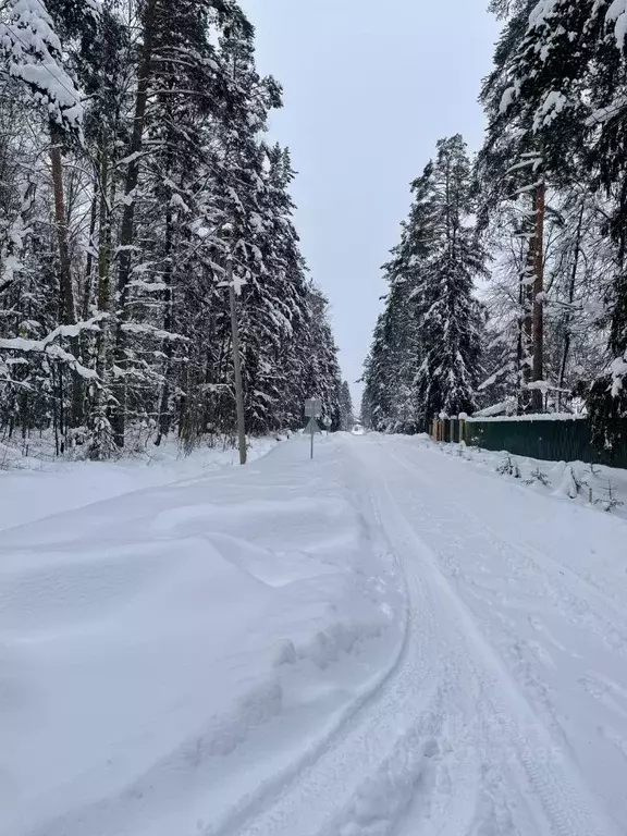 Участок в Московская область, Подольск городской округ, пос. Лесные ... - Фото 2