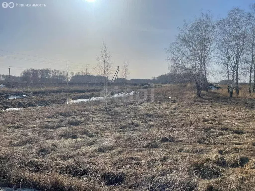 Участок в село Ребровка, Рубиновая улица (9.5 м) - Фото 0