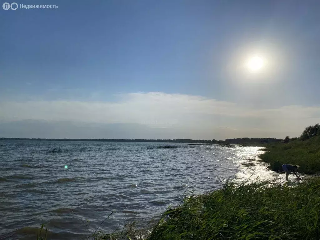 Участок в Красноармейский округ, деревня Пашнино 1-е (8.13 м) - Фото 0
