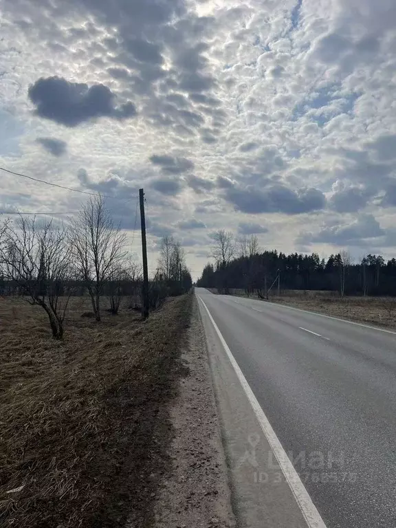 Участок в Ленинградская область, Гатчинский район, д. Кургино  (15.0 ... - Фото 1
