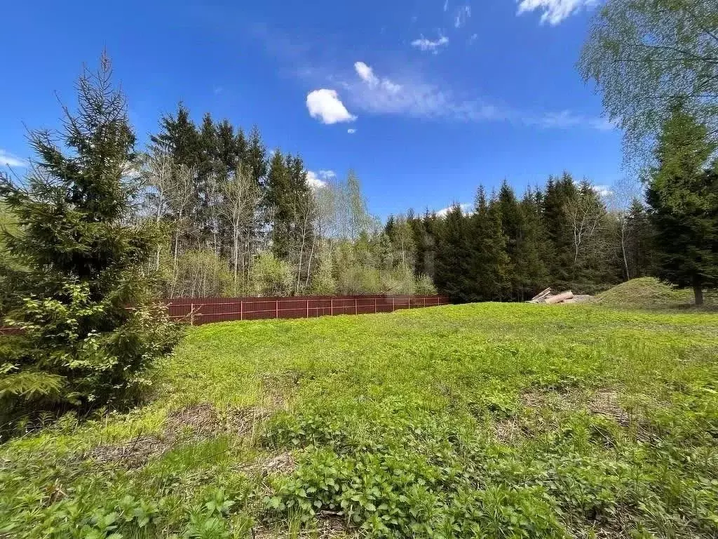 Участок в Москва Заповедное СНТ, 32 (9.61 сот.) - Фото 2