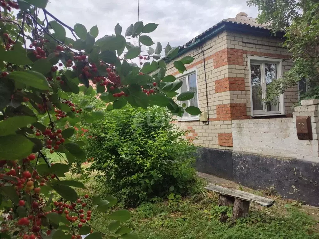 Дом в Ставропольский край, Изобильненский муниципальный округ, с. ... - Фото 2