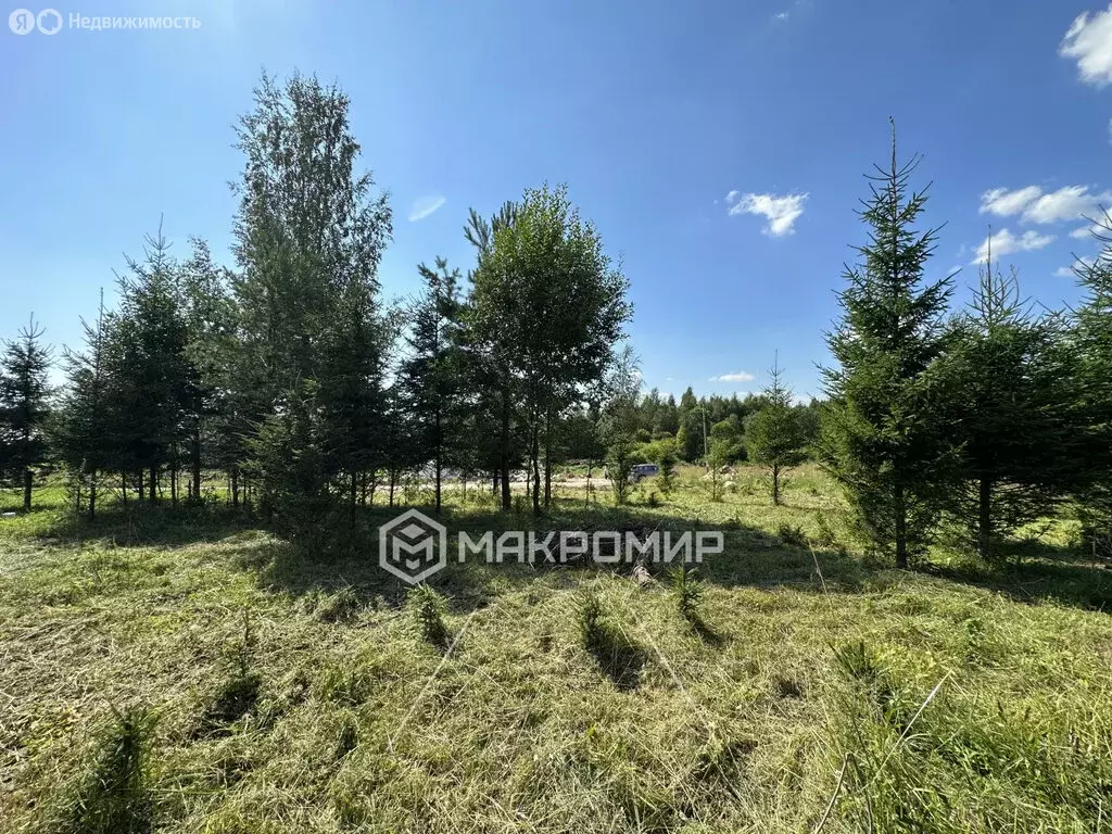 Участок в Выборгский район, Рощинское городское поселение, посёлок ... - Фото 1