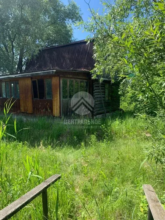 СНТ молодость Новосибирск Первомайский район. СНТ Лилия Новосибирск. СНТ молодость Новосибирск фотографии.