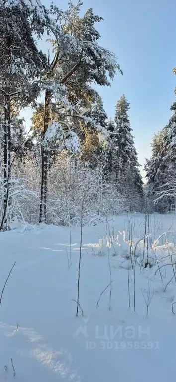Участок в Ленинградская область, Приозерский район, Сосновское с/пос, ... - Фото 0