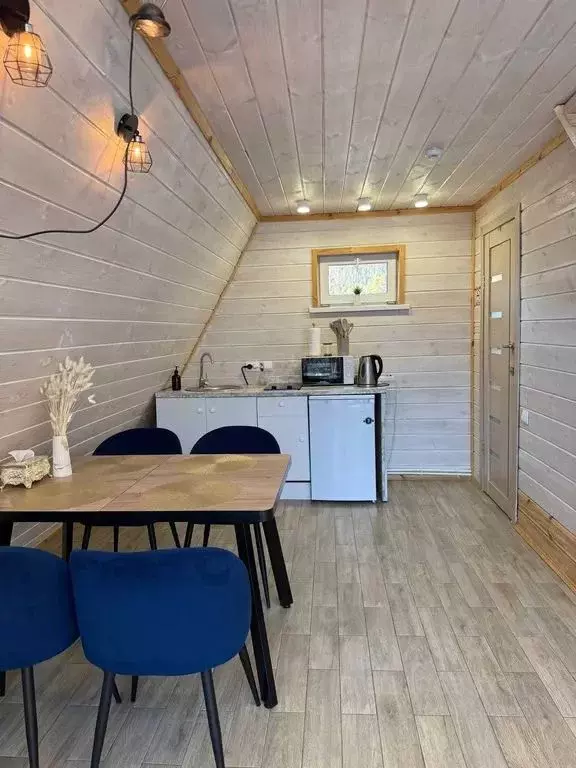 Дом в Алтай, Майминский район, с. Манжерок ул. Дружбы, 73 (40 м) - Фото 2