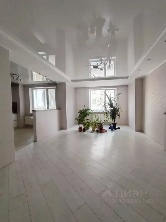 3-к кв. Саратовская область, Саратов ул. Имени С.Ф. Тархова, 37 (84.6 ... - Фото 2