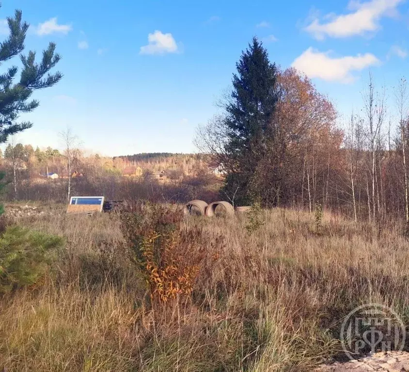 Участок в Ленинградская область, Выборгский район, Селезневское с/пос, ... - Фото 2