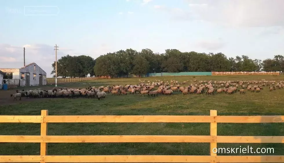 В фермерском хозяйстве 3. Фермерское хозяйство с. Корсаковка. Участок земли под фермерское хозяйство. Идеальное фермерское хозяйство. Ферма Калиновка.