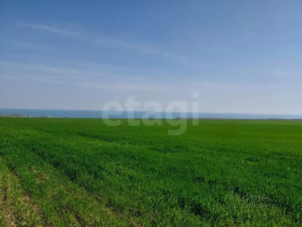 Участок в Крым, Ленинский район, Челядиновское с/пос, с. Челядиново ... - Фото 1