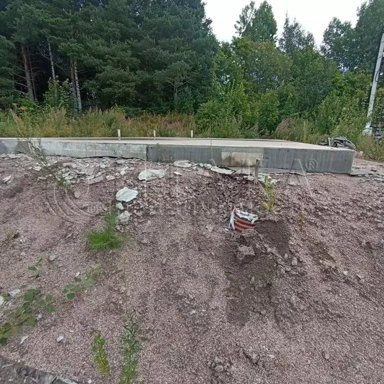 Участок в Ленинградская область, Выборг ул. Добровольцев, 19 (10.0 ... - Фото 1