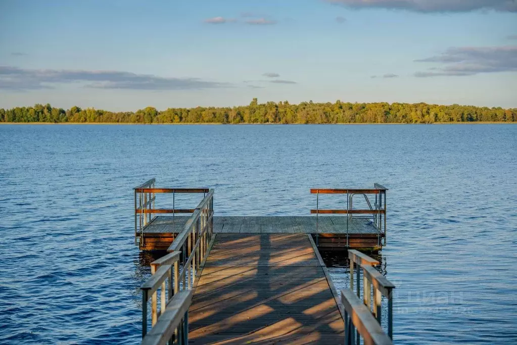 Участок в Ленинградская область, Приозерский район, Громовское с/пос, ... - Фото 2