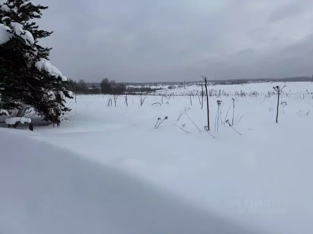 Участок в Московская область, Пушкинский городской округ, с. Барково  ... - Фото 2
