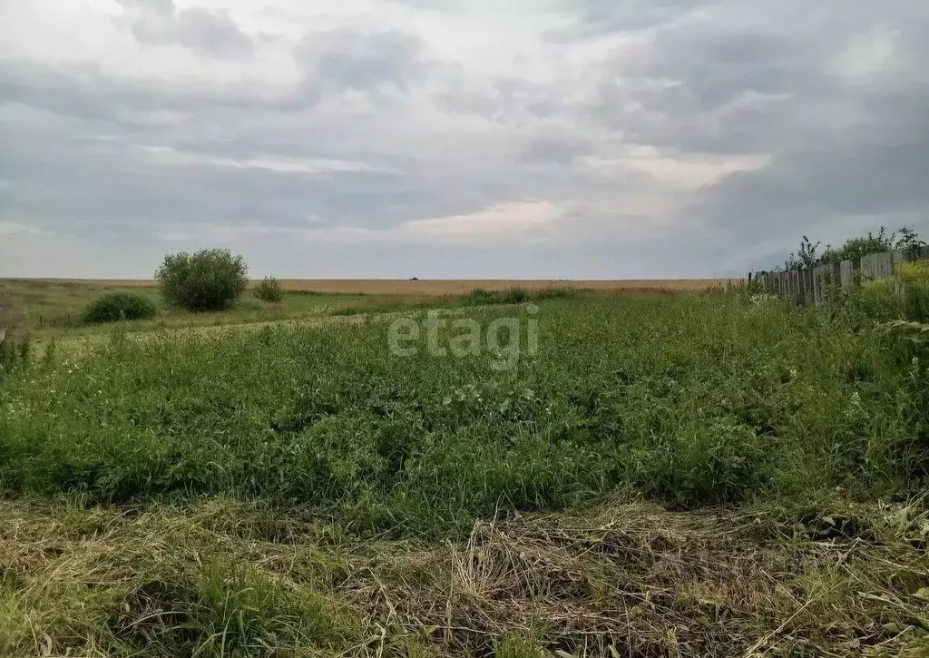 Участок в Брянская область, Выгоничский район, Хмелевское с/пос, пос. ... - Фото 1