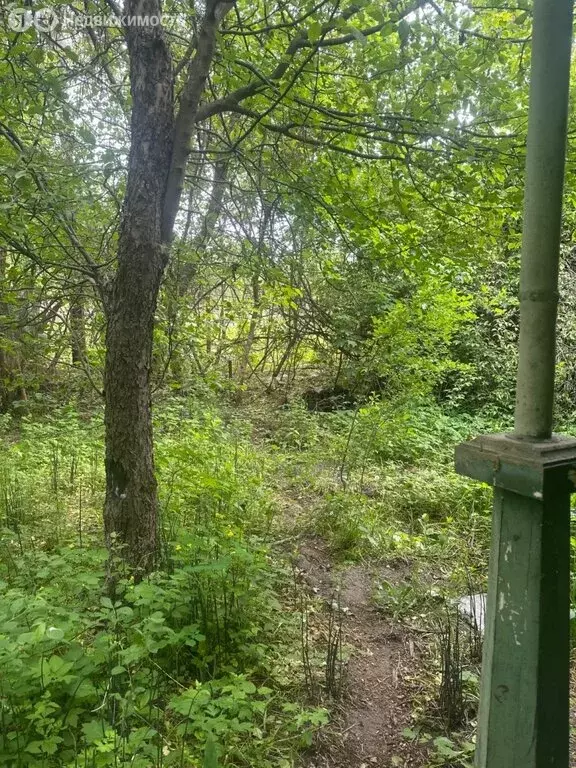 Участок в Воронеж, микрорайон Тенистый (6.48 м) - Фото 1