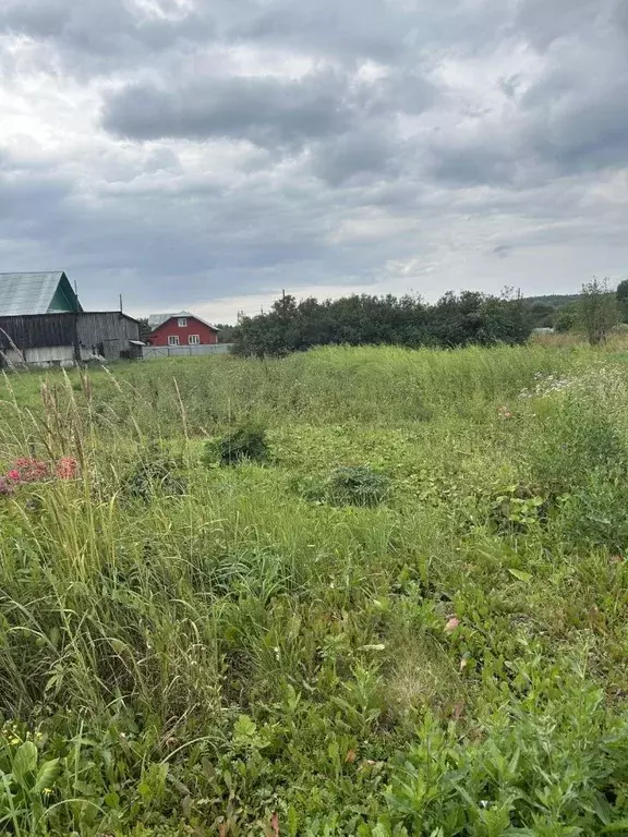 Дом в Пермский край, Осинский муниципальный округ, с. Крылово ул. ... - Фото 1