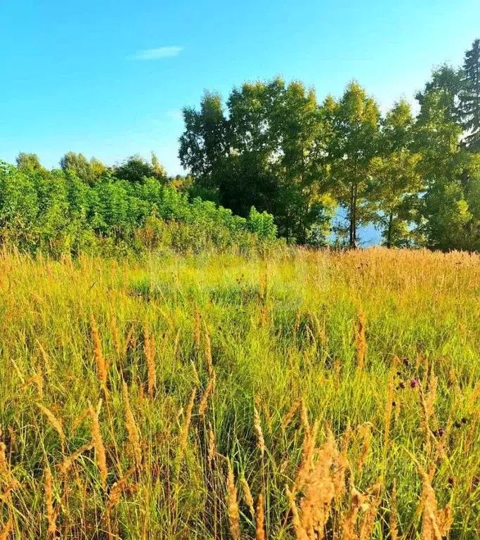 Участок в Кировская область, Вятскополянский район, Гремячевское ... - Фото 2