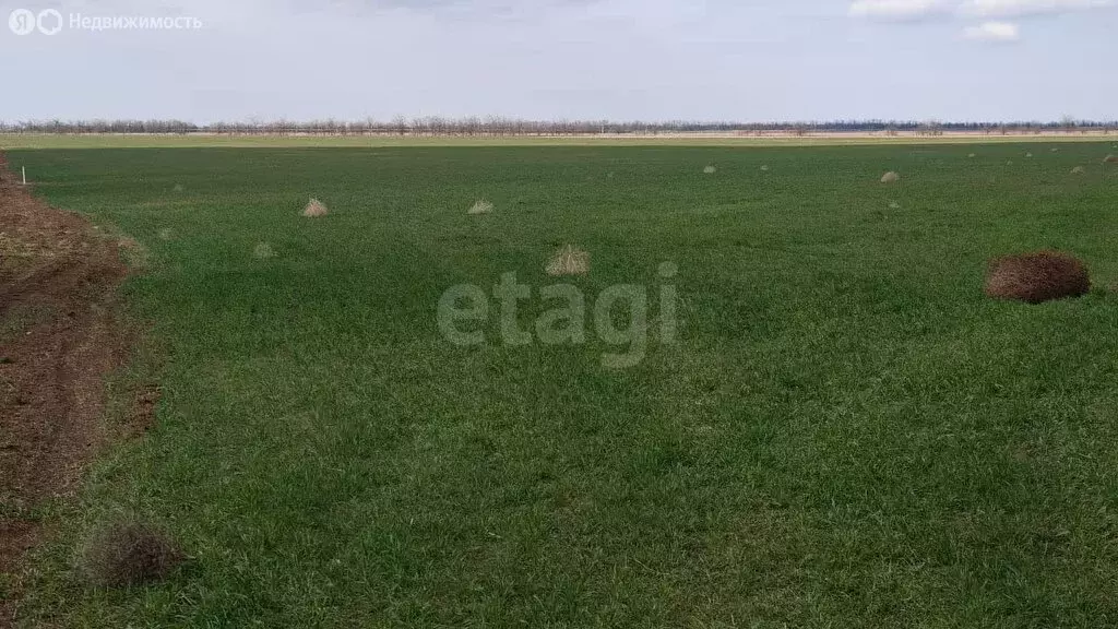 Участок в Сакский район, Ромашкинское сельское поселение, село Колоски ... - Фото 1