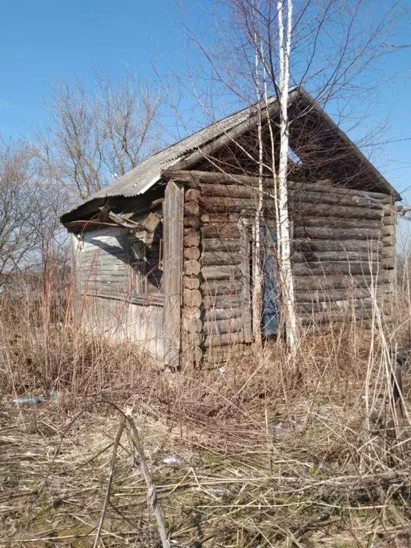 Участок в Владимирская область, Александровский район, Андреевское ... - Фото 0